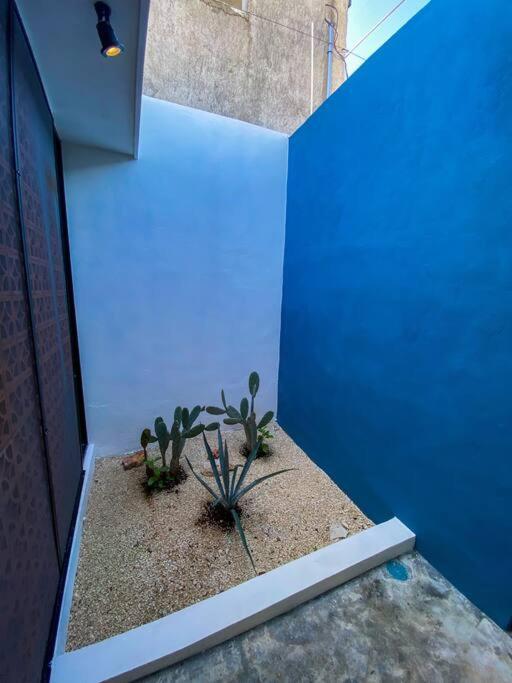 Modern Casa With Pool 7 Mins From Centro 5Min La Plancha Park Villa Mérida Eksteriør billede